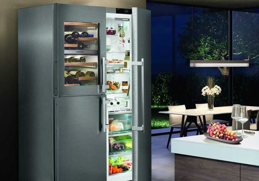Двухдверные холодильники: обзор, характеристики, отзывы