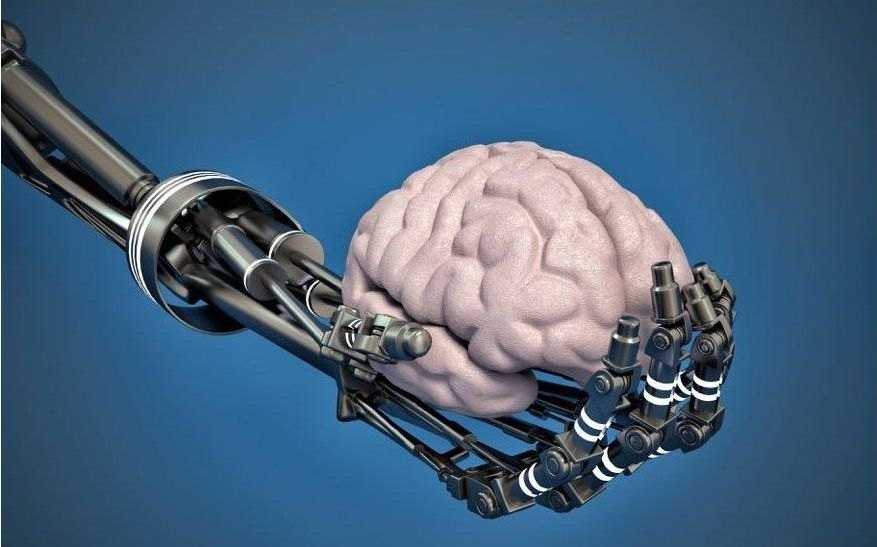 Нейрочип neuralink: действительно ли мы будем вживлять гаджеты в мозг | рбк тренды