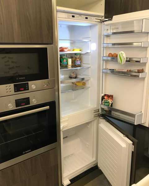 Через сколько после переезда включать холодильник: правила и советы