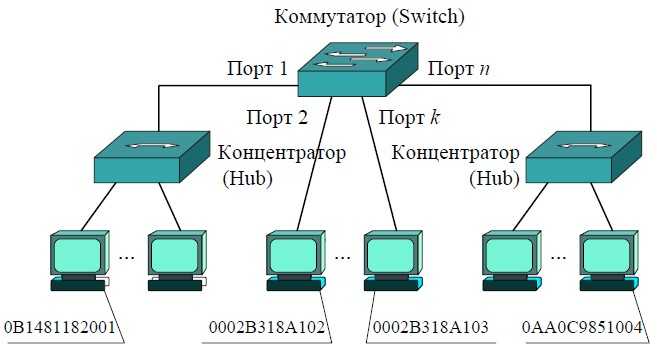 Сетевой коммутатор (ethernet switch): что такое, для чего нужен, как работает, сравниваем с концентратором (hub)