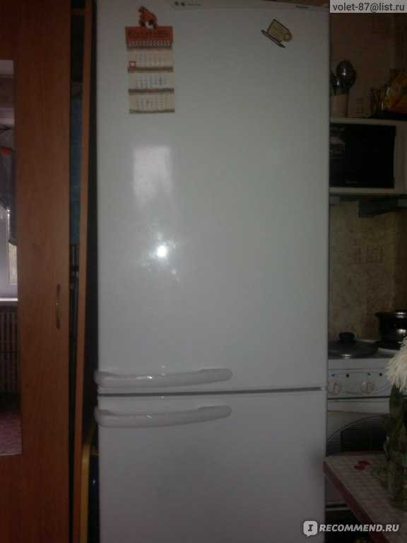 Российские холодильники: могут ли они конкурировать с импортными и стоит ли их покупать?