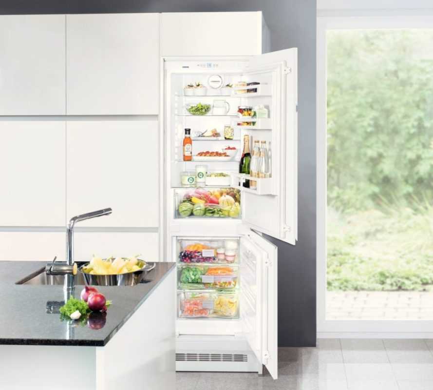 Холодильники liebherr: топ-7 моделей, отзывы, советы перед покупкой