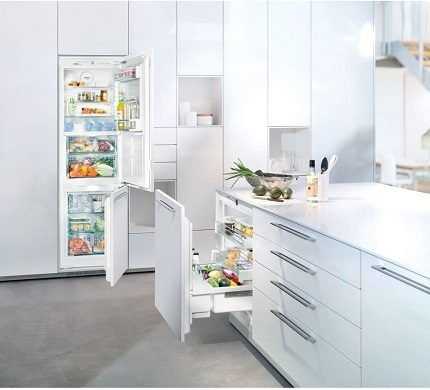 Рейтинг лучших встраиваемых холодильников в 2020 году для тех, кто хочет сделать правильный выбор