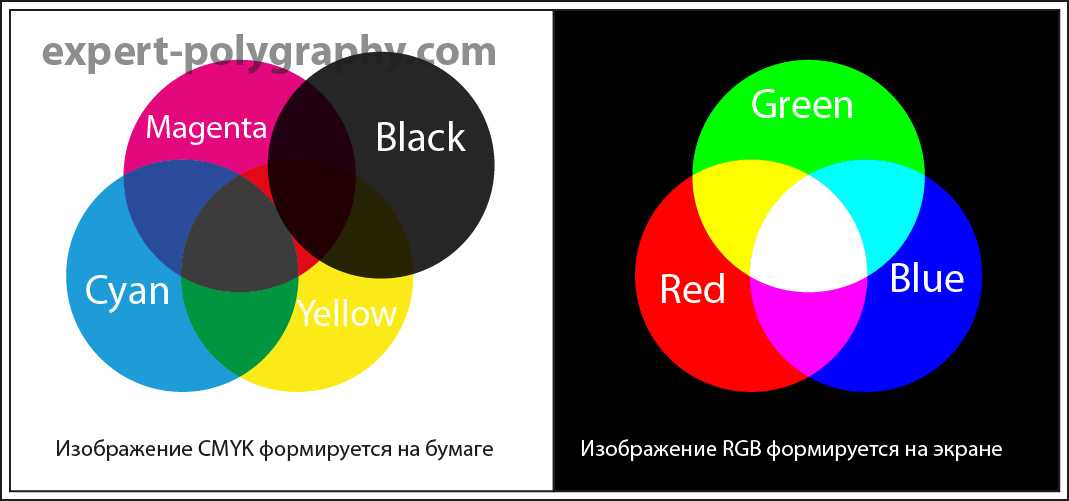 Цветность rgbw и ее отличия от rgb