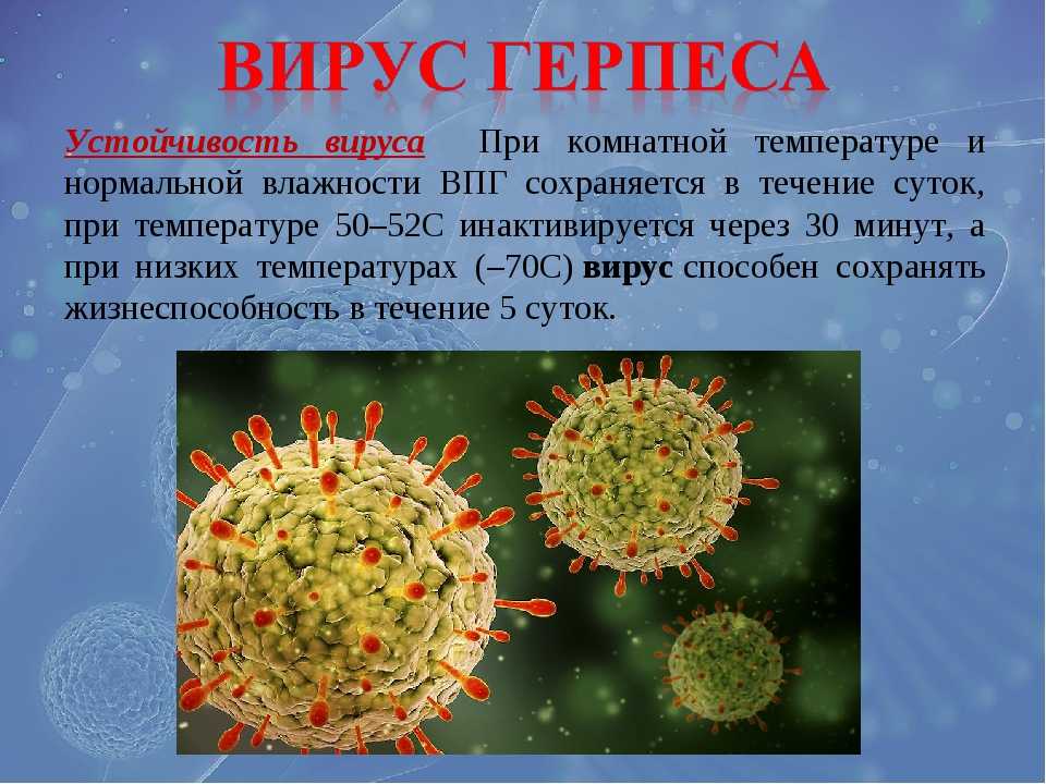 5 самых опасных вирусов всех времен: что они натворили