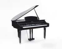 Электронное пианино цифровое пианино medeli dp460k (pvc)