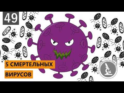 Правда о коронавирусе выходит на свет. учёные со всего мира разоблачают аферу с пандемией – новости руан