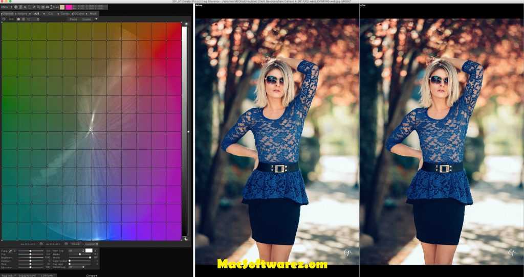 Atrise lutcurve - визуальная калибровка дисплея для фотографов, видеографов и дизайнеров