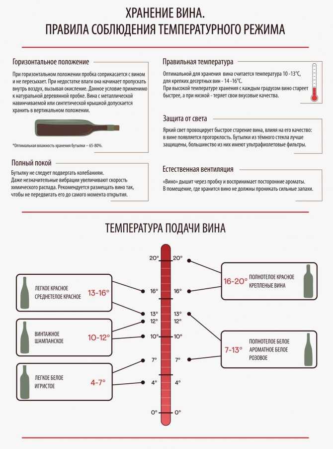 Как правильно хранить вино | блог сомелье