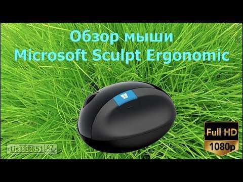 Мышь microsoft sculpt ergonomic mouse l6v-00005 black usb