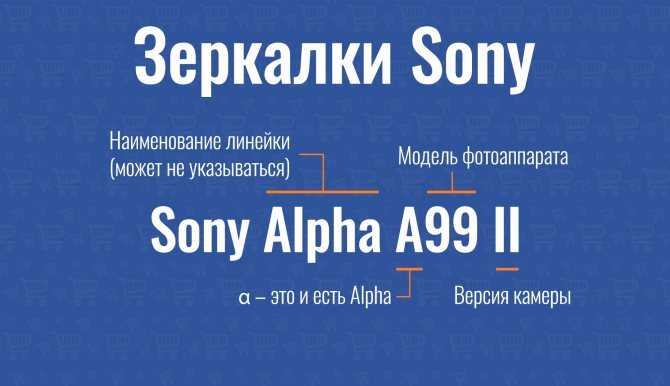 Sony a6400 vs sony alpha a6300: в чем разница?