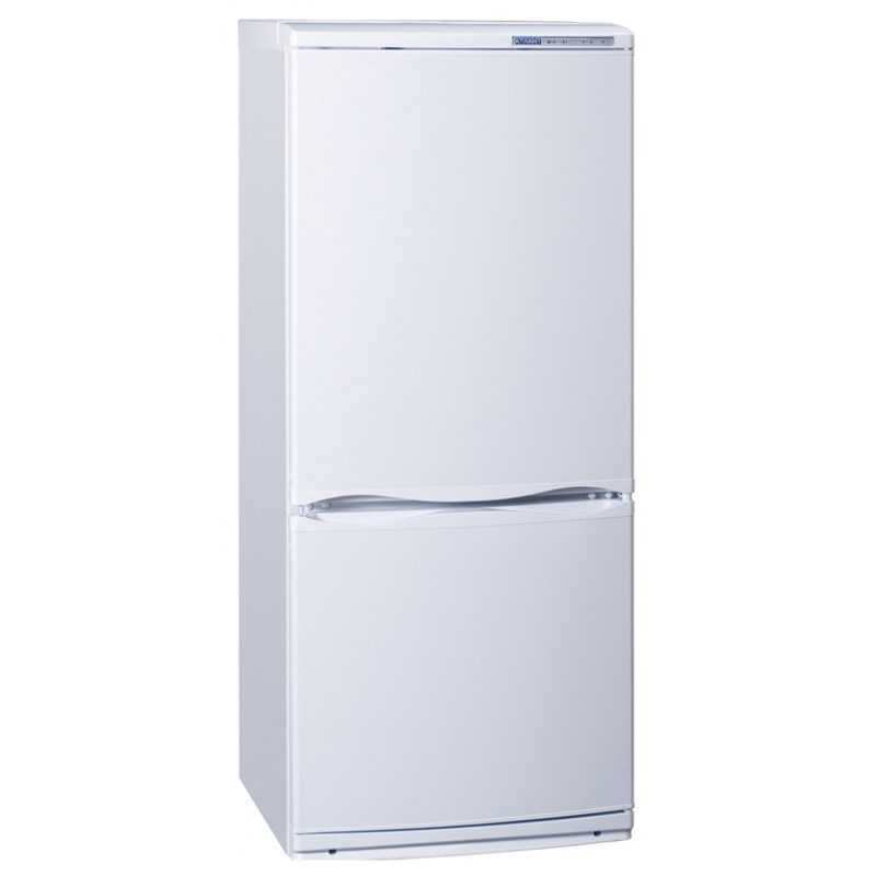 Лучшие холодильники бирюса 2021 года